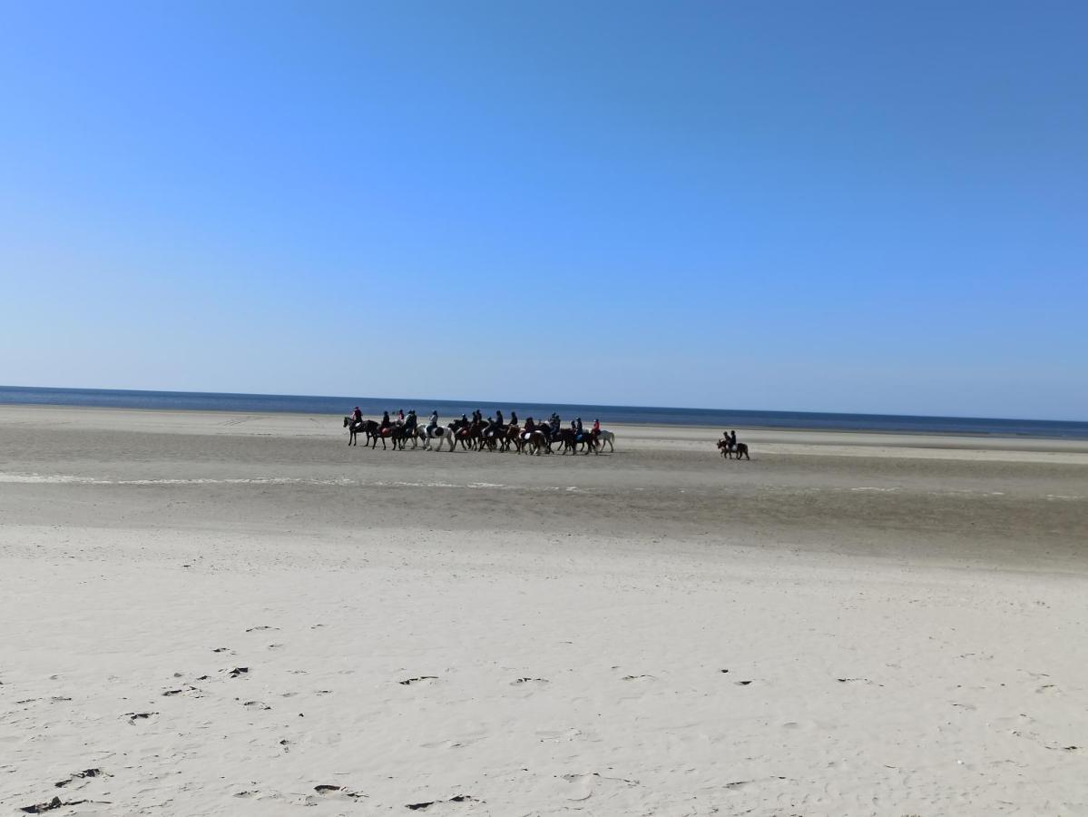 Gite Les Chalets Du Fliers Meubles De Tourisme Classes 2 Etoiles Berck Sur Mer Verton Buitenkant foto