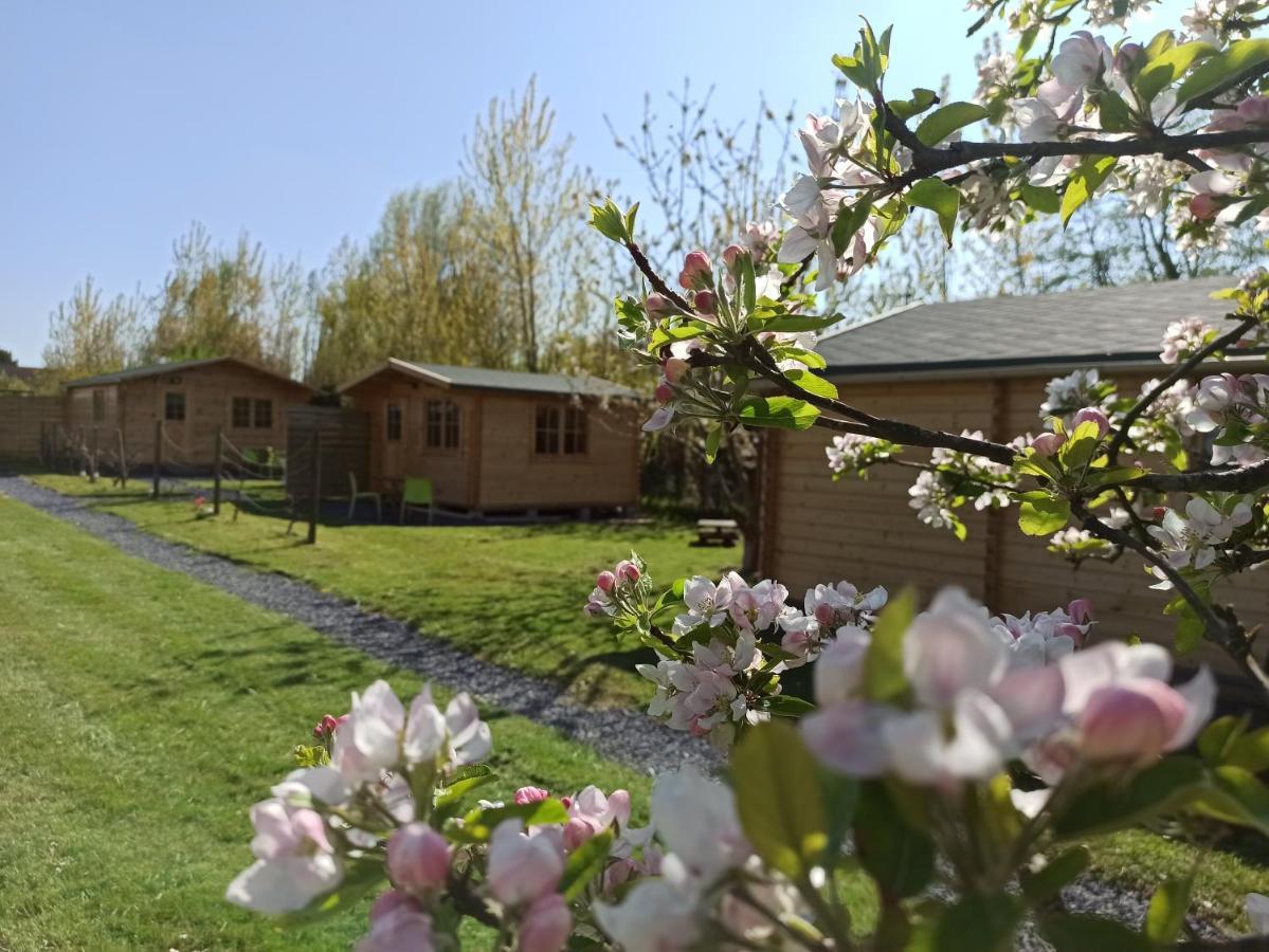Gite Les Chalets Du Fliers Meubles De Tourisme Classes 2 Etoiles Berck Sur Mer Verton Buitenkant foto